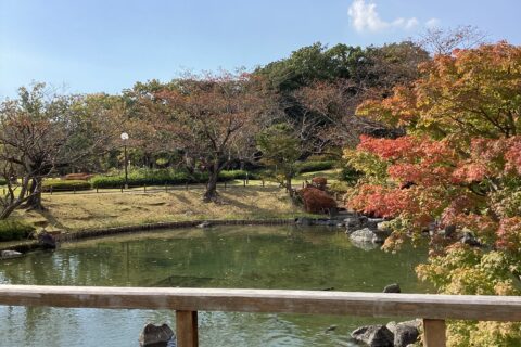 日本庭園にお散歩