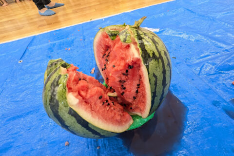 🍉スイカ割り大会🍉