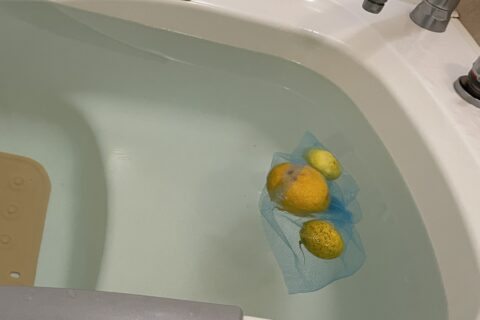 冬至🍋