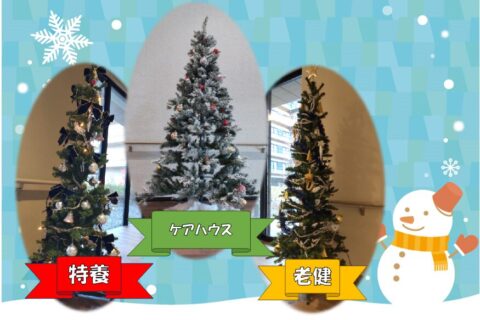 クリスマスツリーと一緒に🎄✨