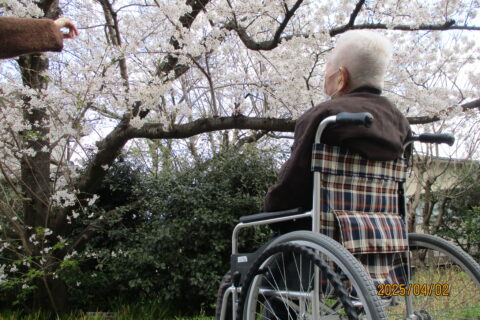 目で楽しんで、食べても楽しむ春