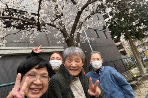 ✿お花見✿