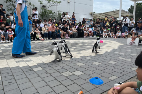 歓迎遠足🐬お友達とマリンワールドに行ったよ！