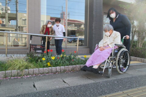 ぶらりとお花見