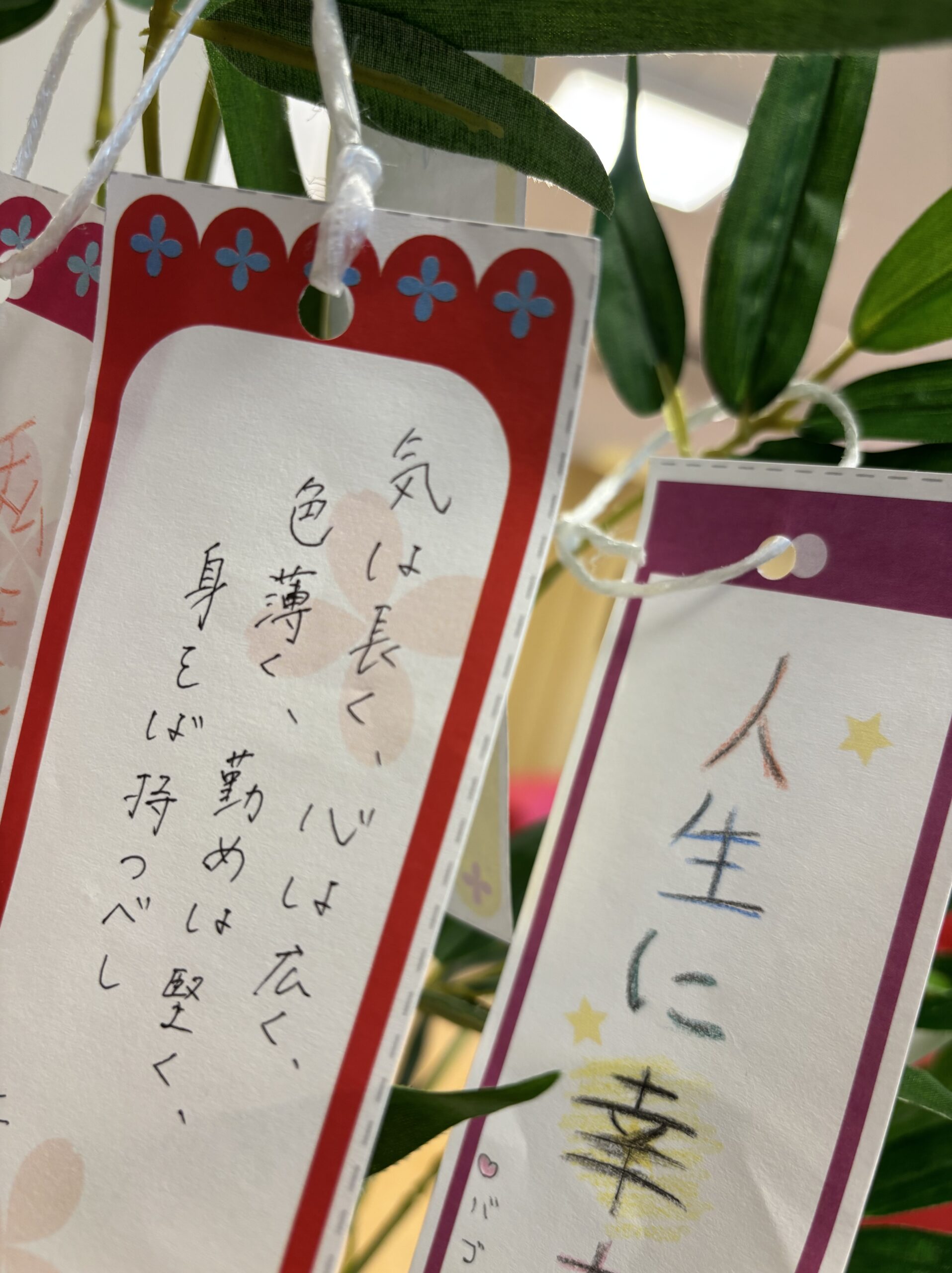 七夕 ～笹に願い事を飾ろう！～