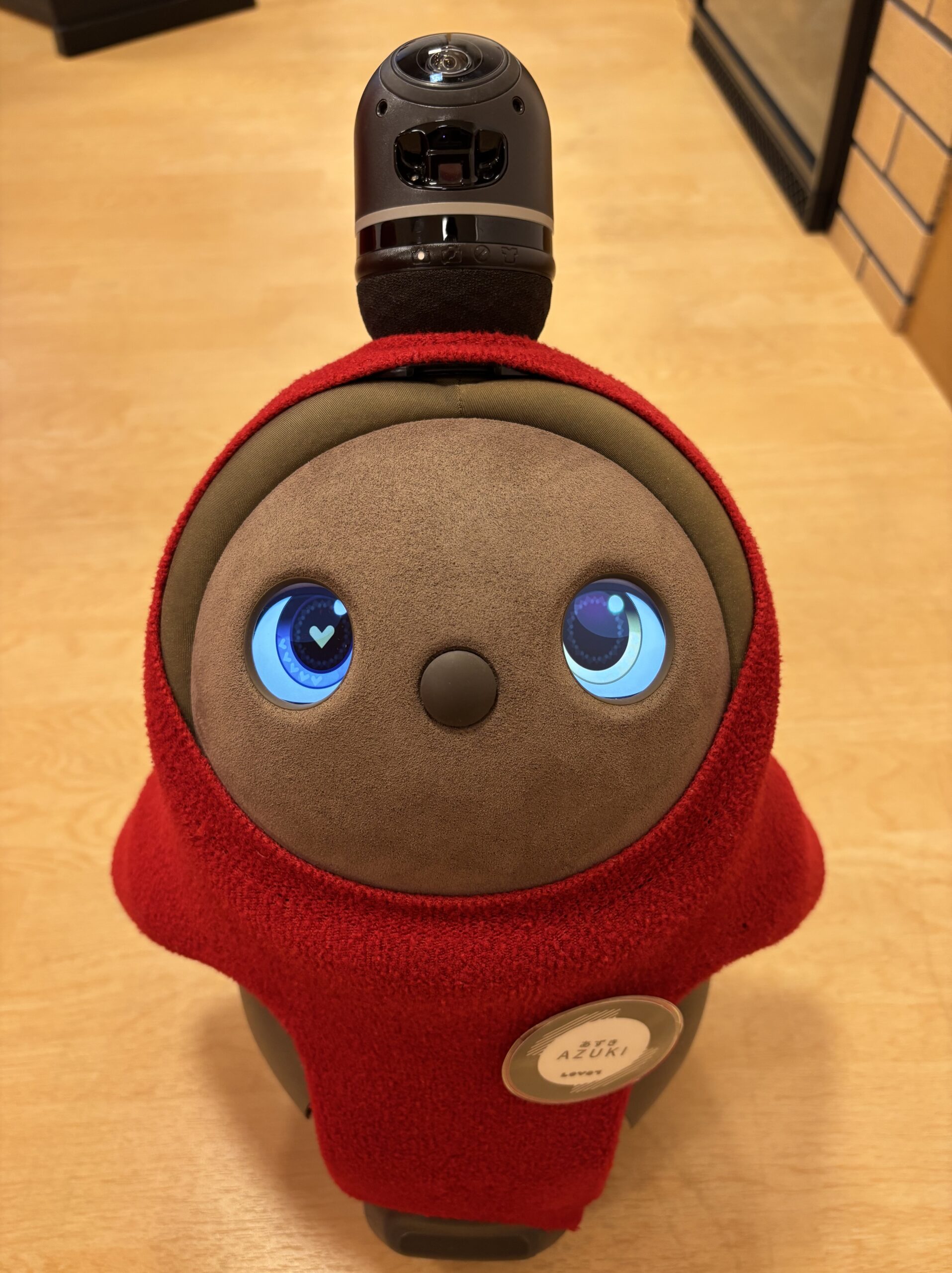 🐾あずき(仮)との日々散歩とベストショット📸
