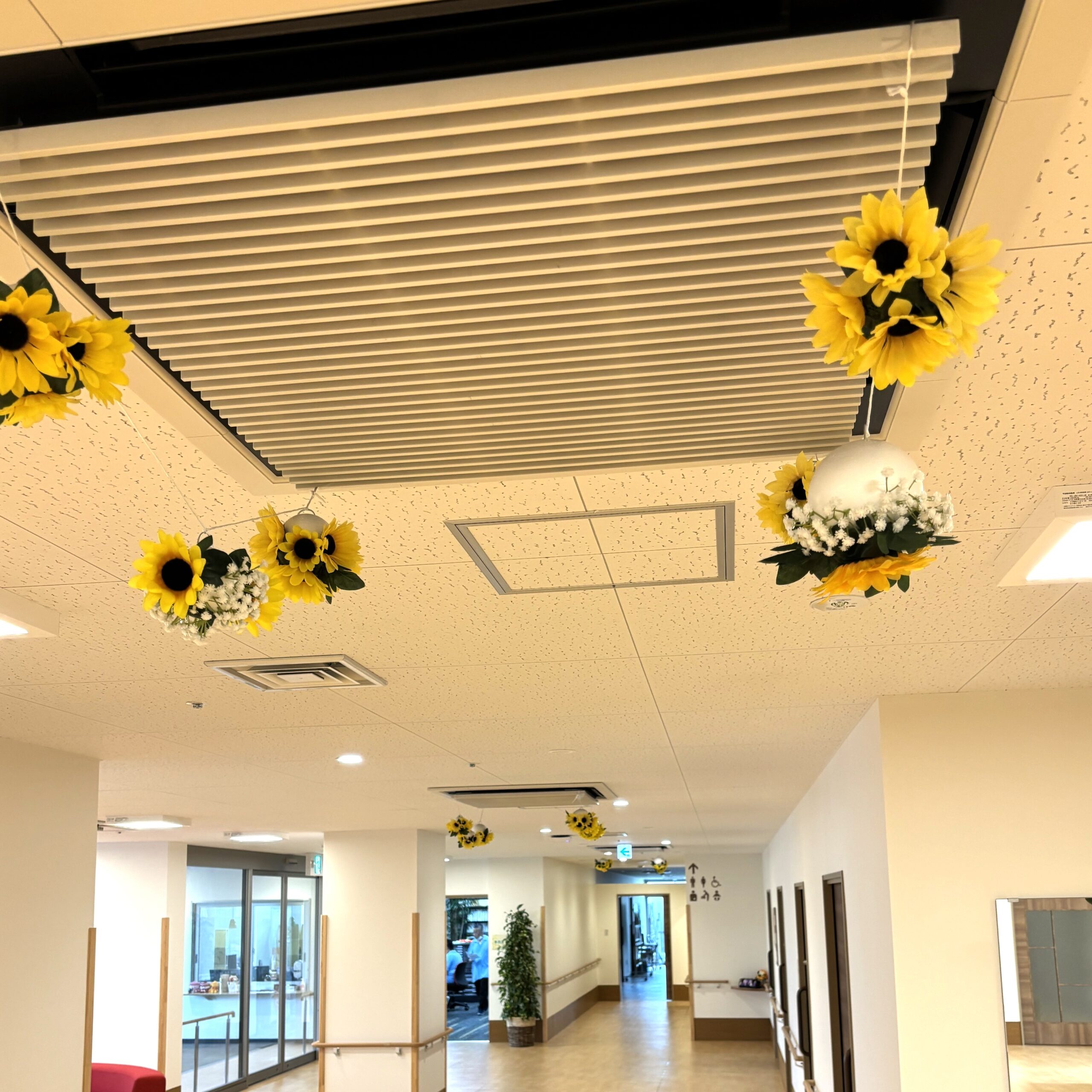 🌻♪この木なんの木♪(番外編)🌻