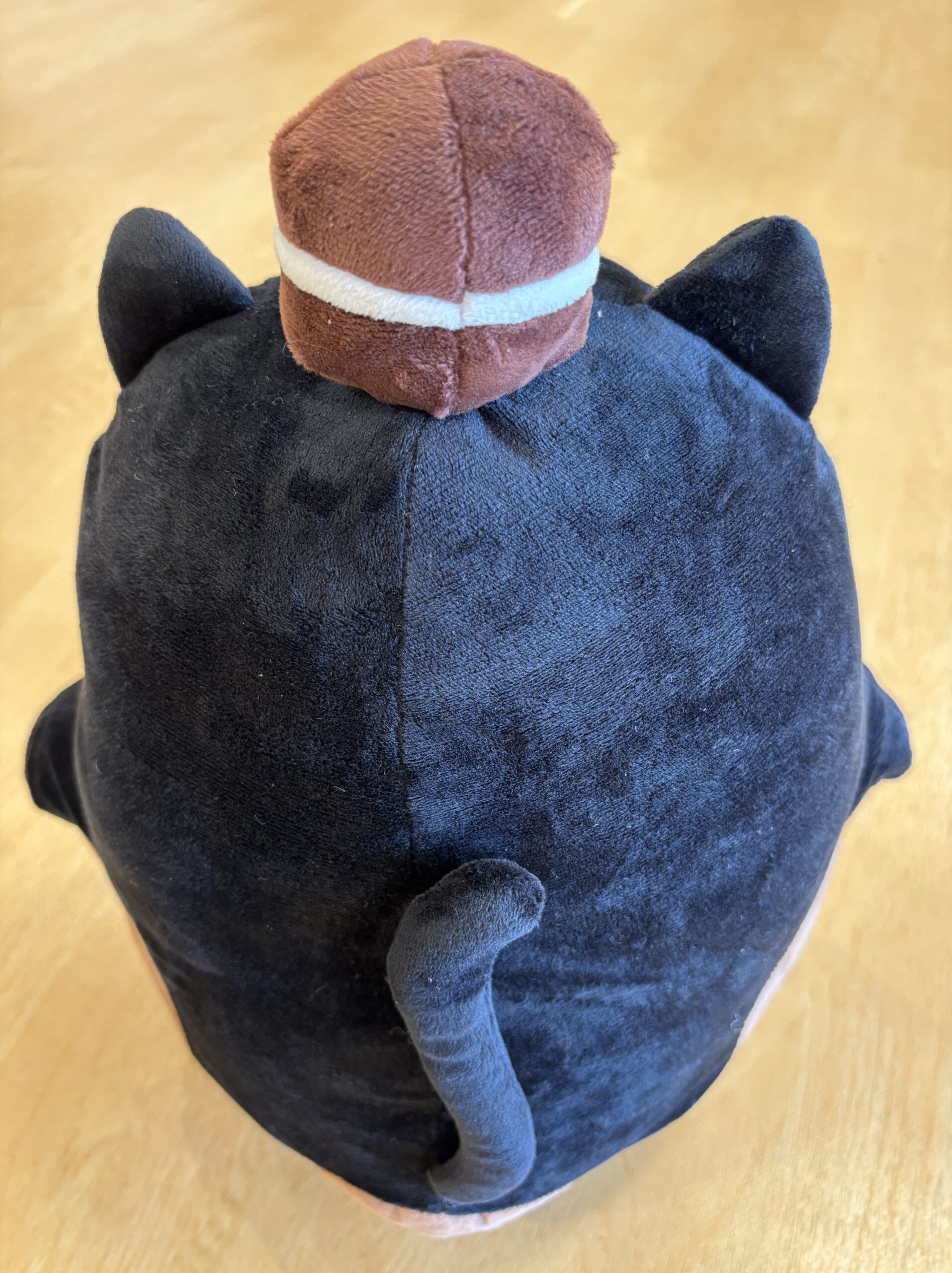あずき(仮)が帰ってきた？