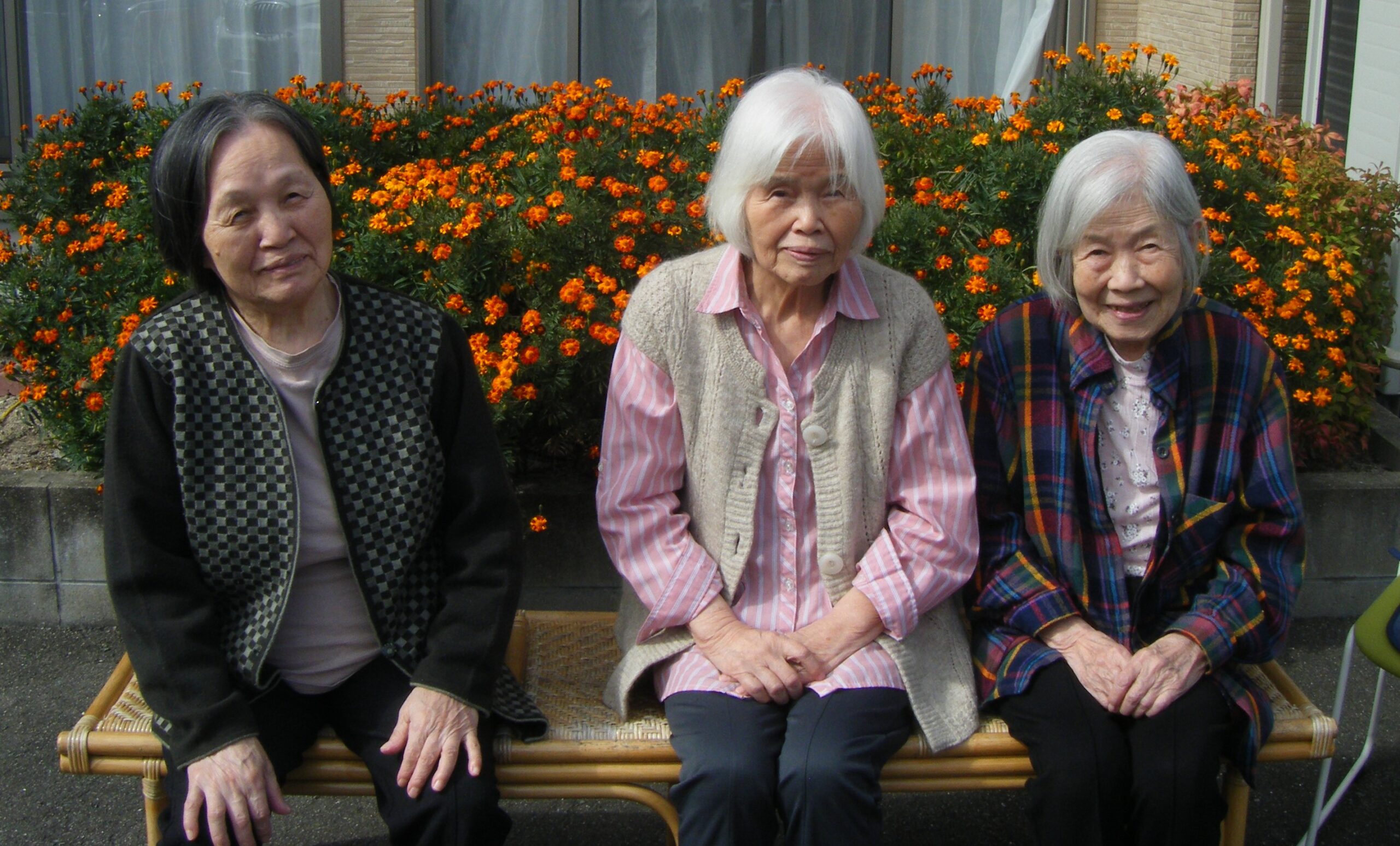 あれから4ヶ月・・・ あれから4ヶ月・・・