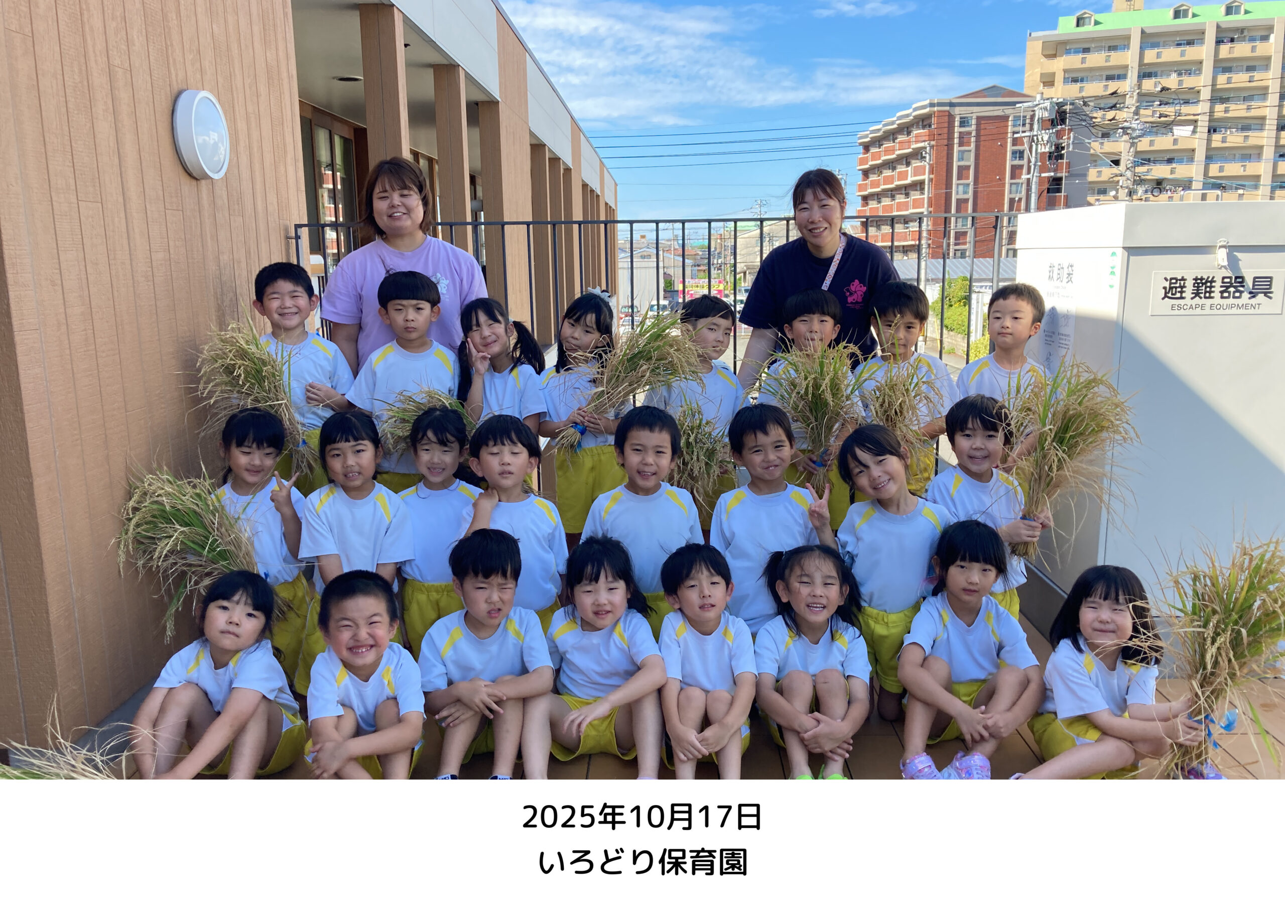 🍚世界にひとつだけの「いろどり米」🍙