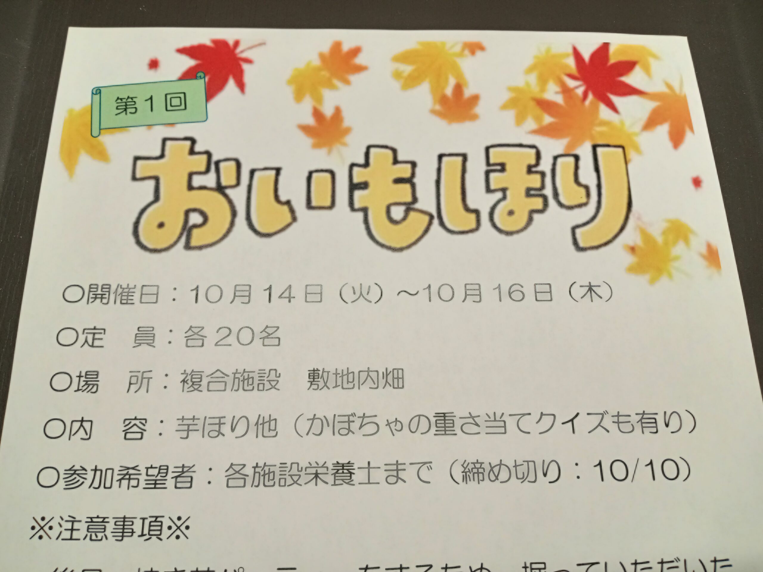 🍠おいもほり🍠 🍠おいもほり🍠