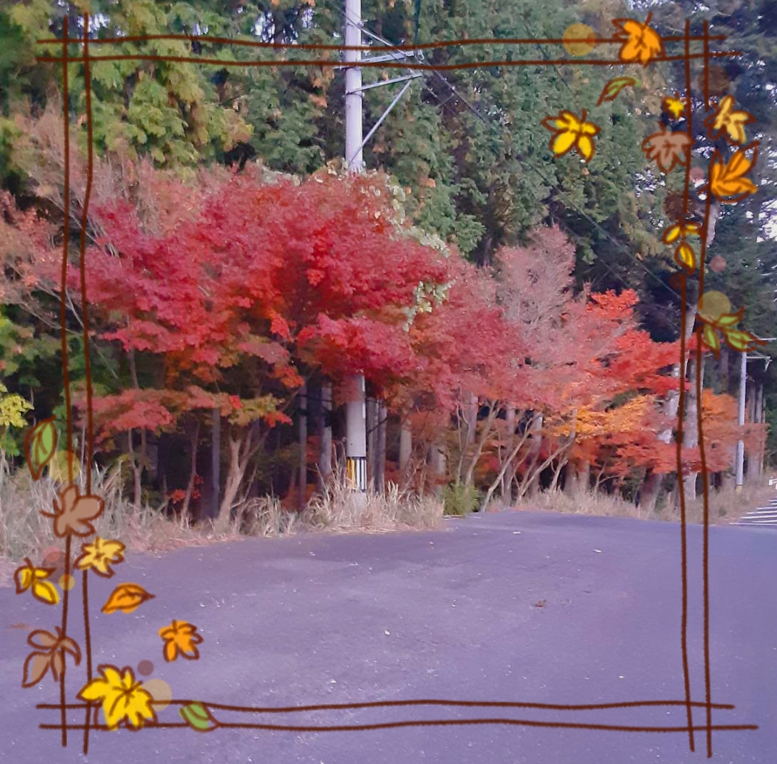 第1回 2025年 芋ほり、焼き芋レク 第1回 2025年 芋ほり、焼き芋レク