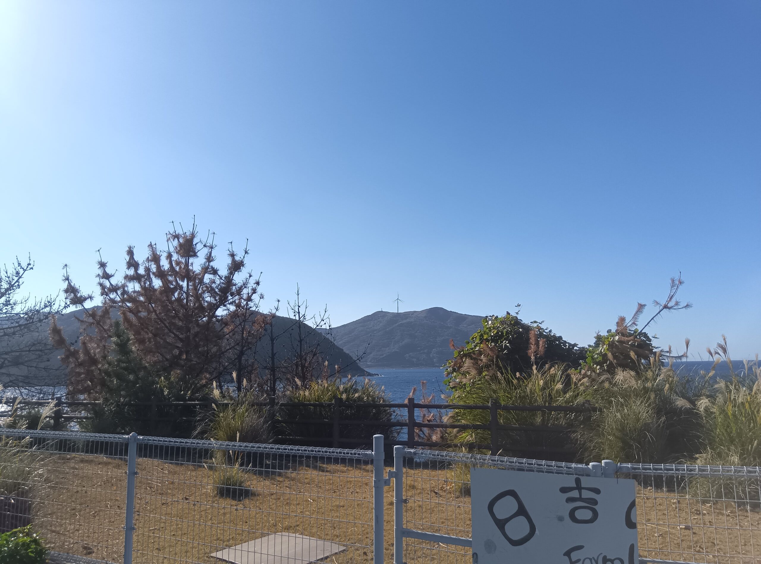 11月の誕生日会＆風船バレー