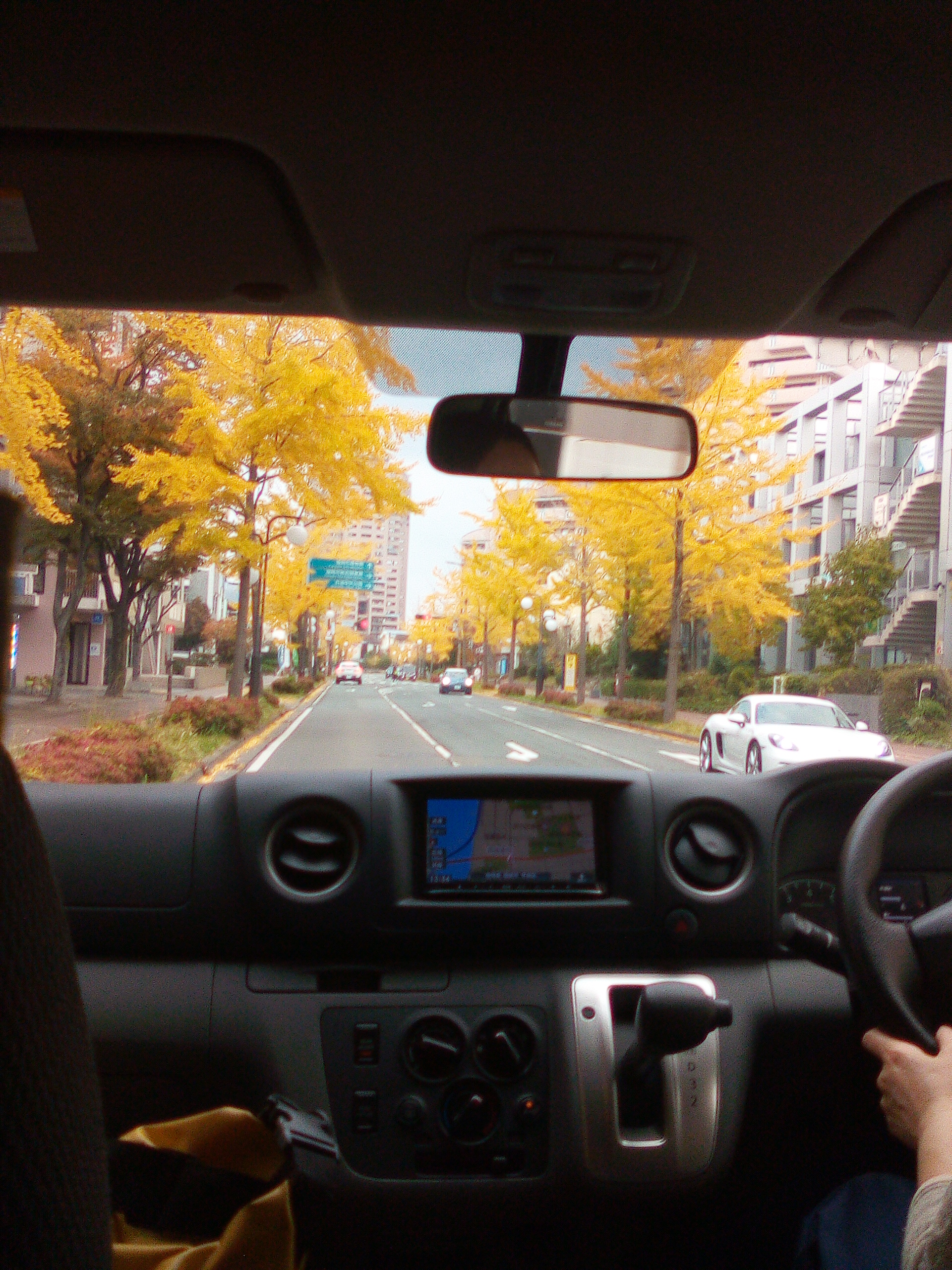 🍁紅葉ドライブ２🍁🚙