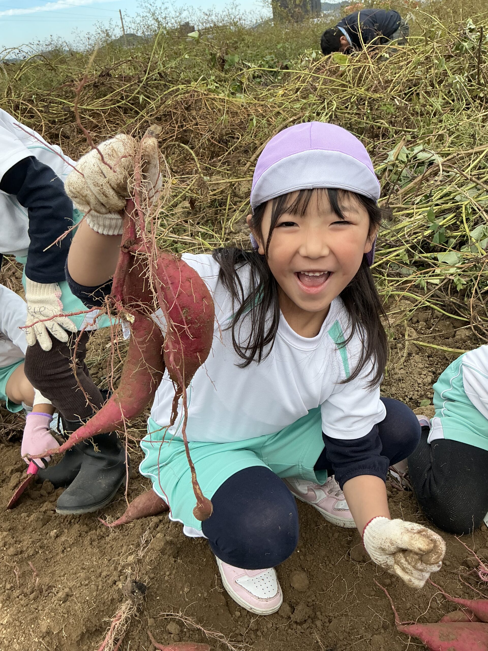 お芋がいっぱい掘れました♪
