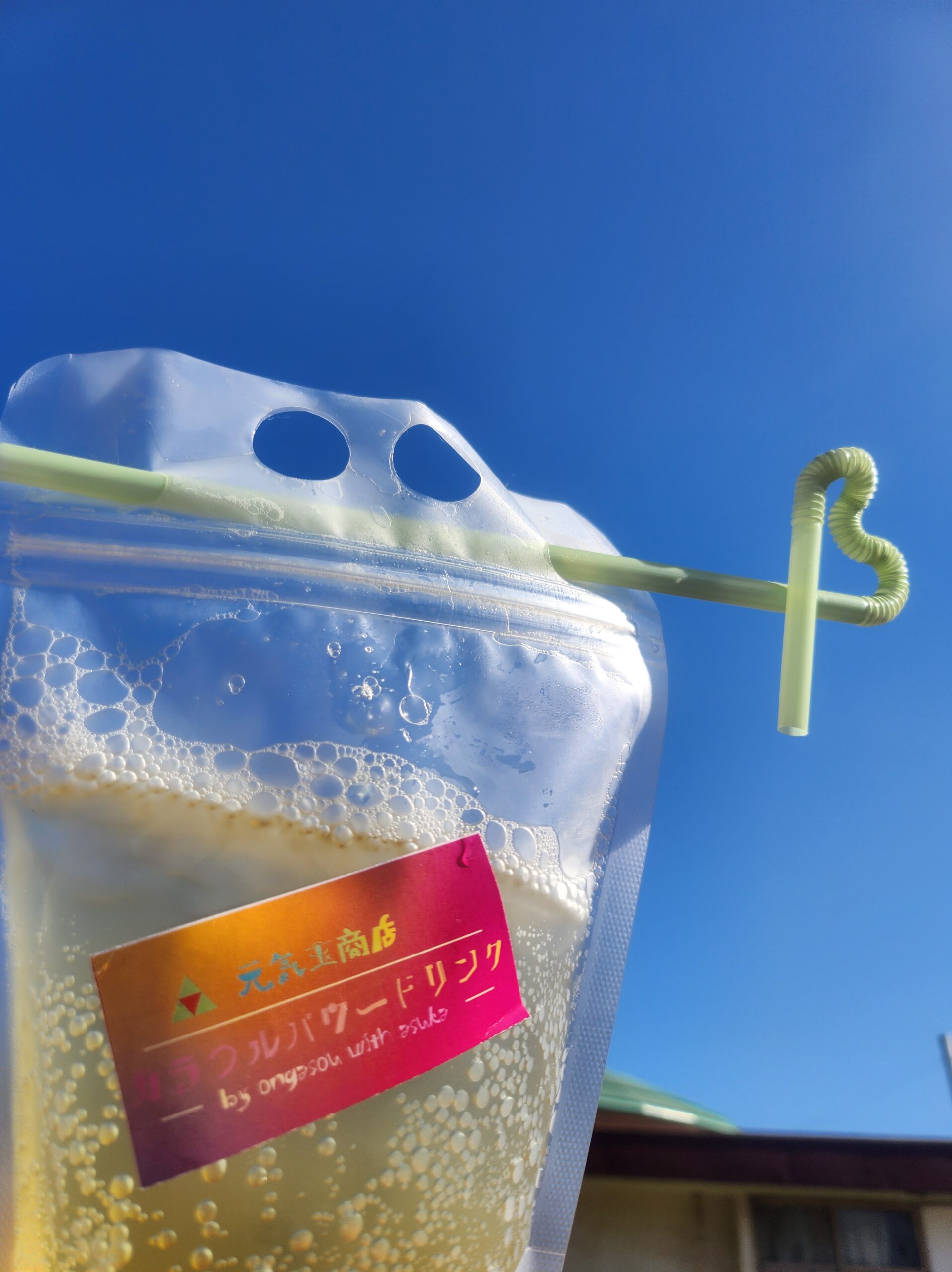 地域に溶け込む人々～ボランティアをしてきました～