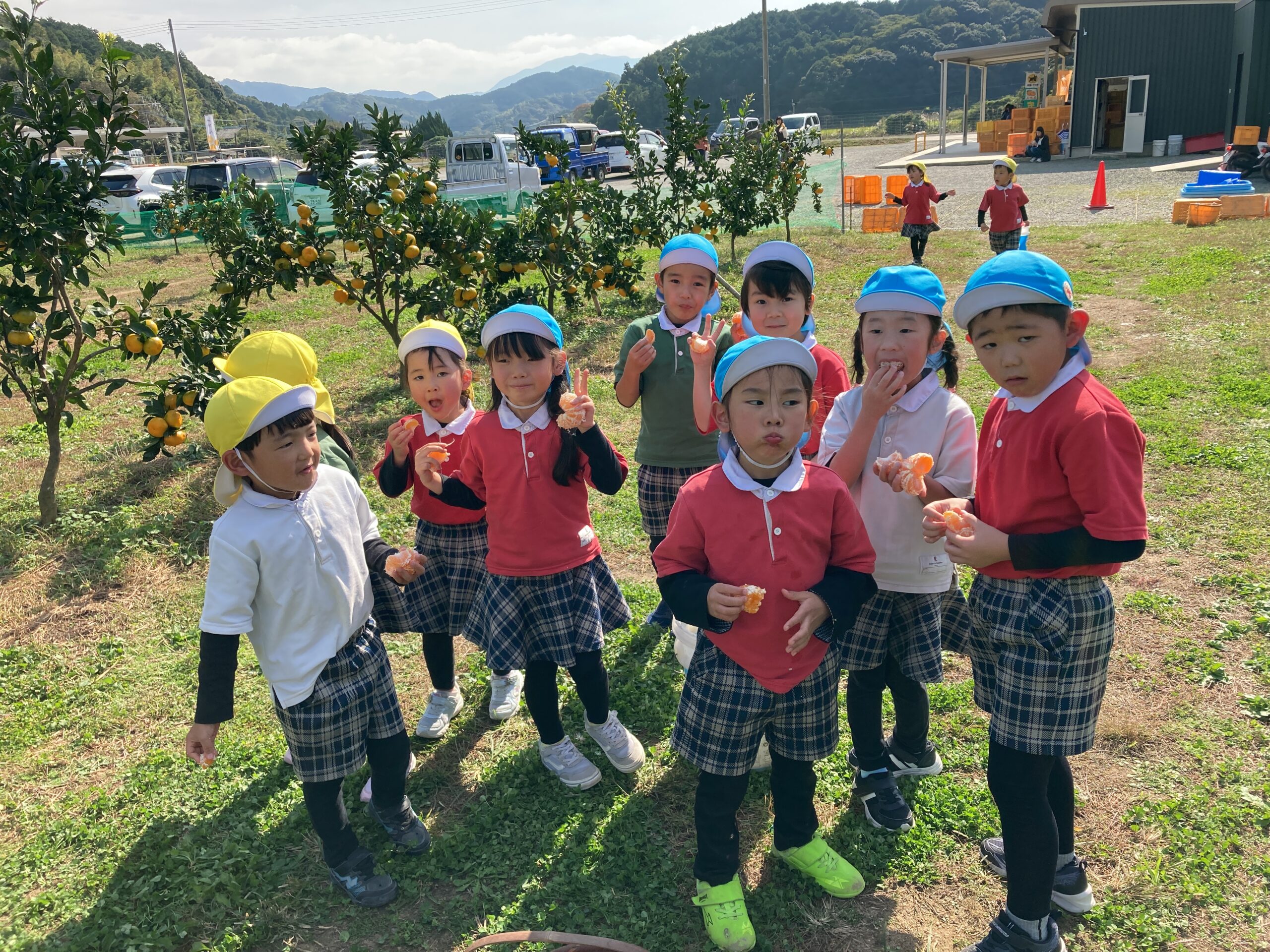 ⛩七五三お宮参り&みかん狩り🍊 ⛩七五三お宮参り&みかん狩り🍊
