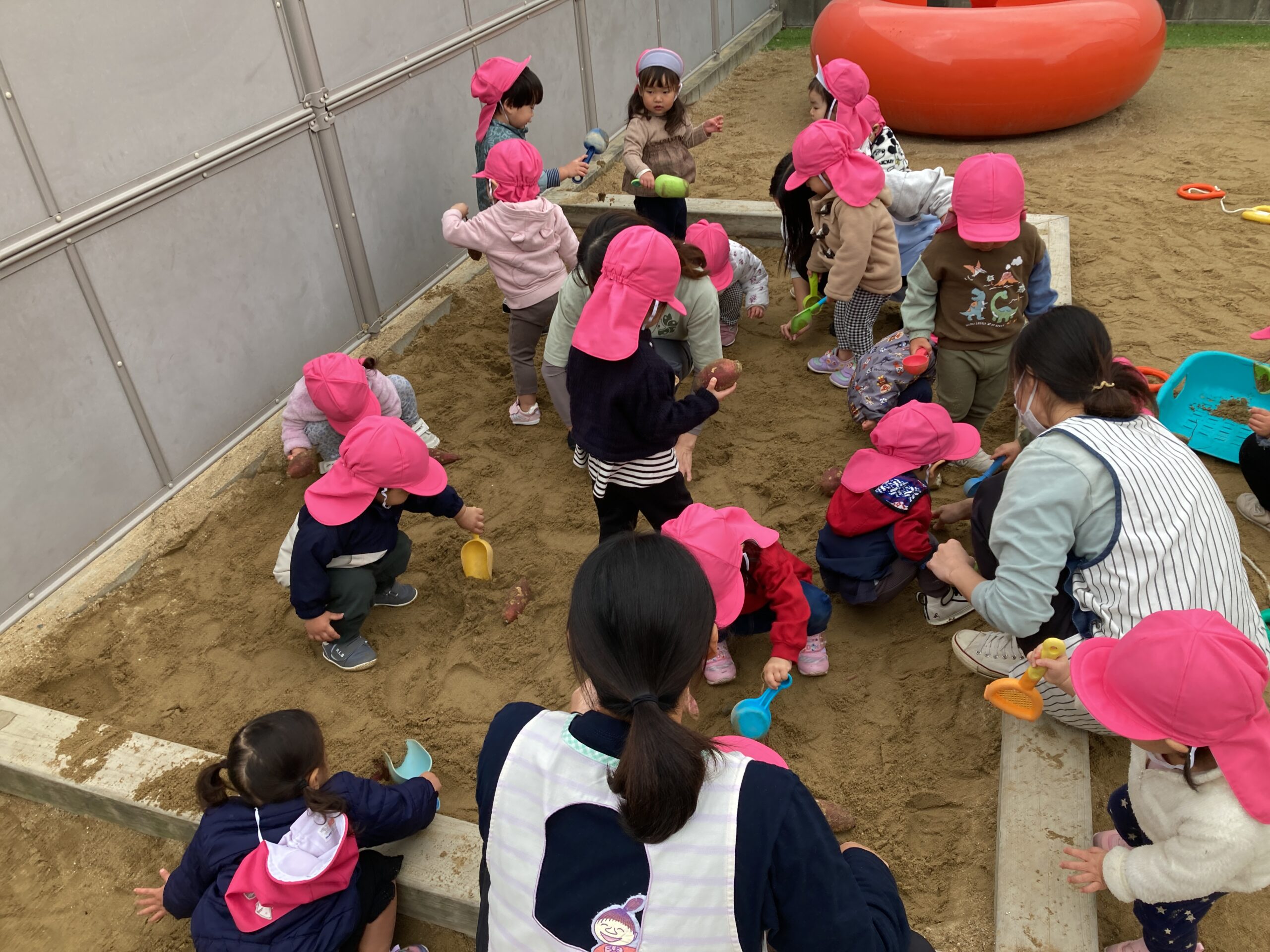 🍠芋ほり大会～未満児編～