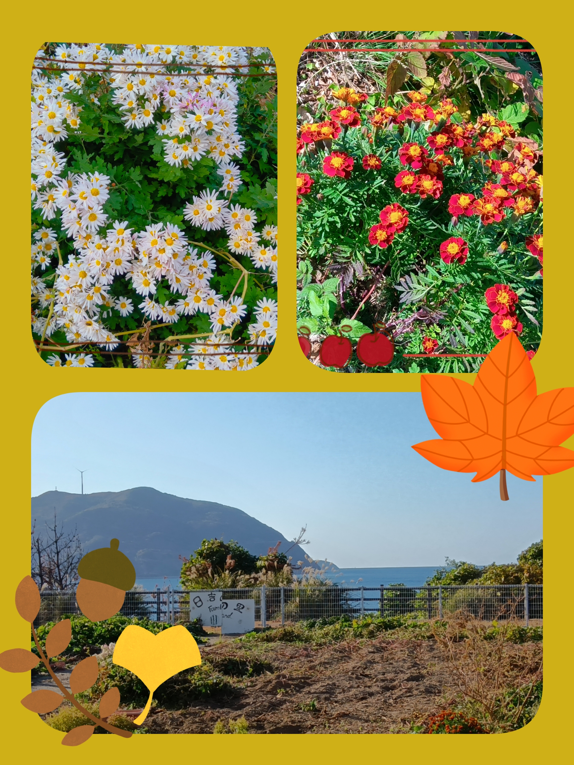 第二弾 焼き芋レク&さつま芋スイーツ 第二弾 焼き芋レク&さつま芋スイーツ