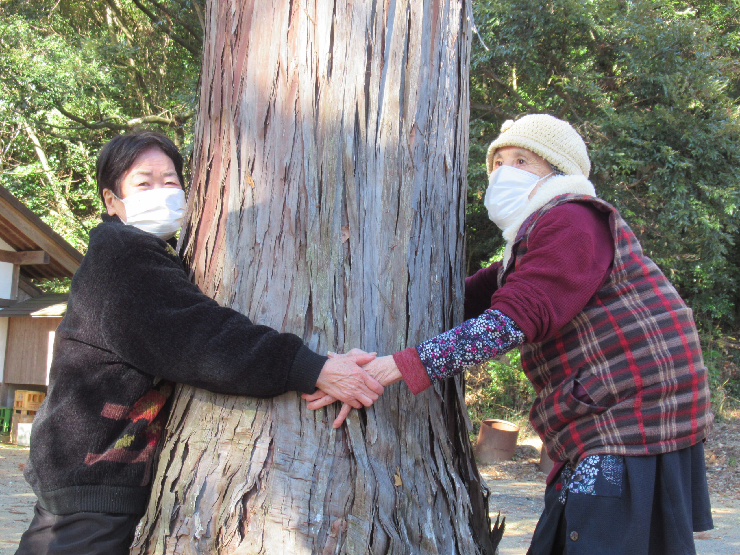 ⛩初詣⛩ ⛩初詣⛩