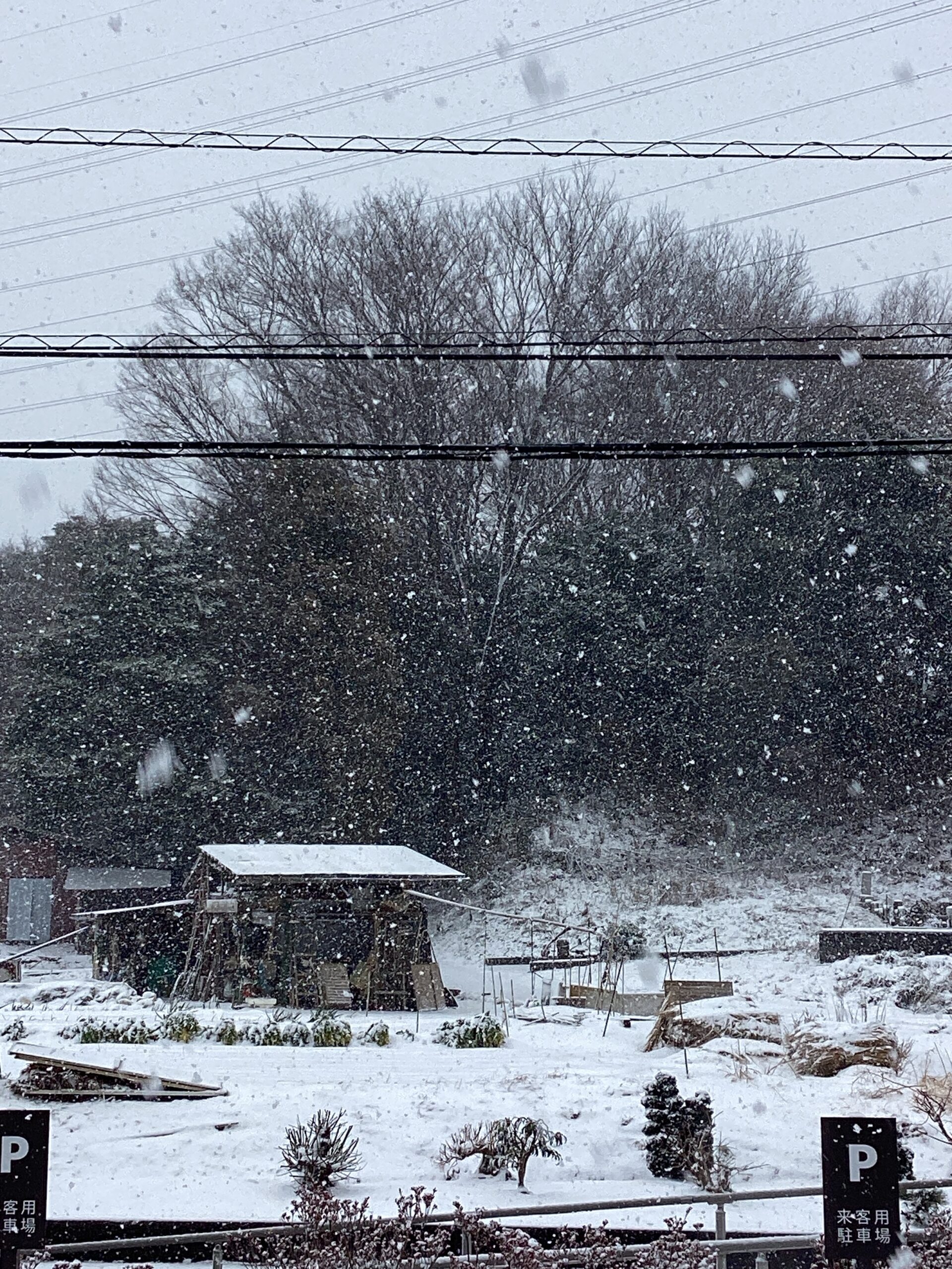 ☃️巨大雪だるま☃️
