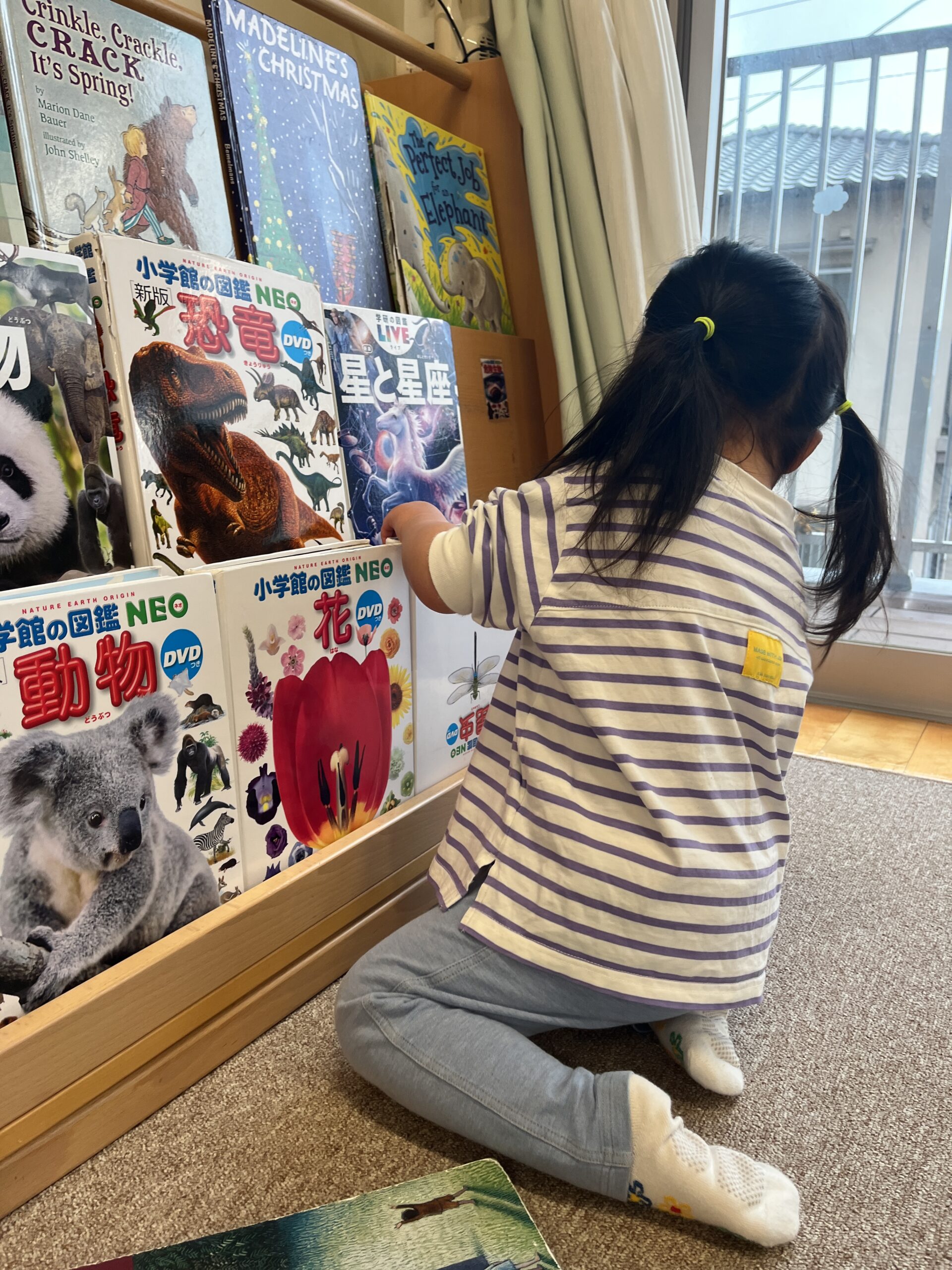 にじぐみの様子🌸 にじぐみの様子🌸