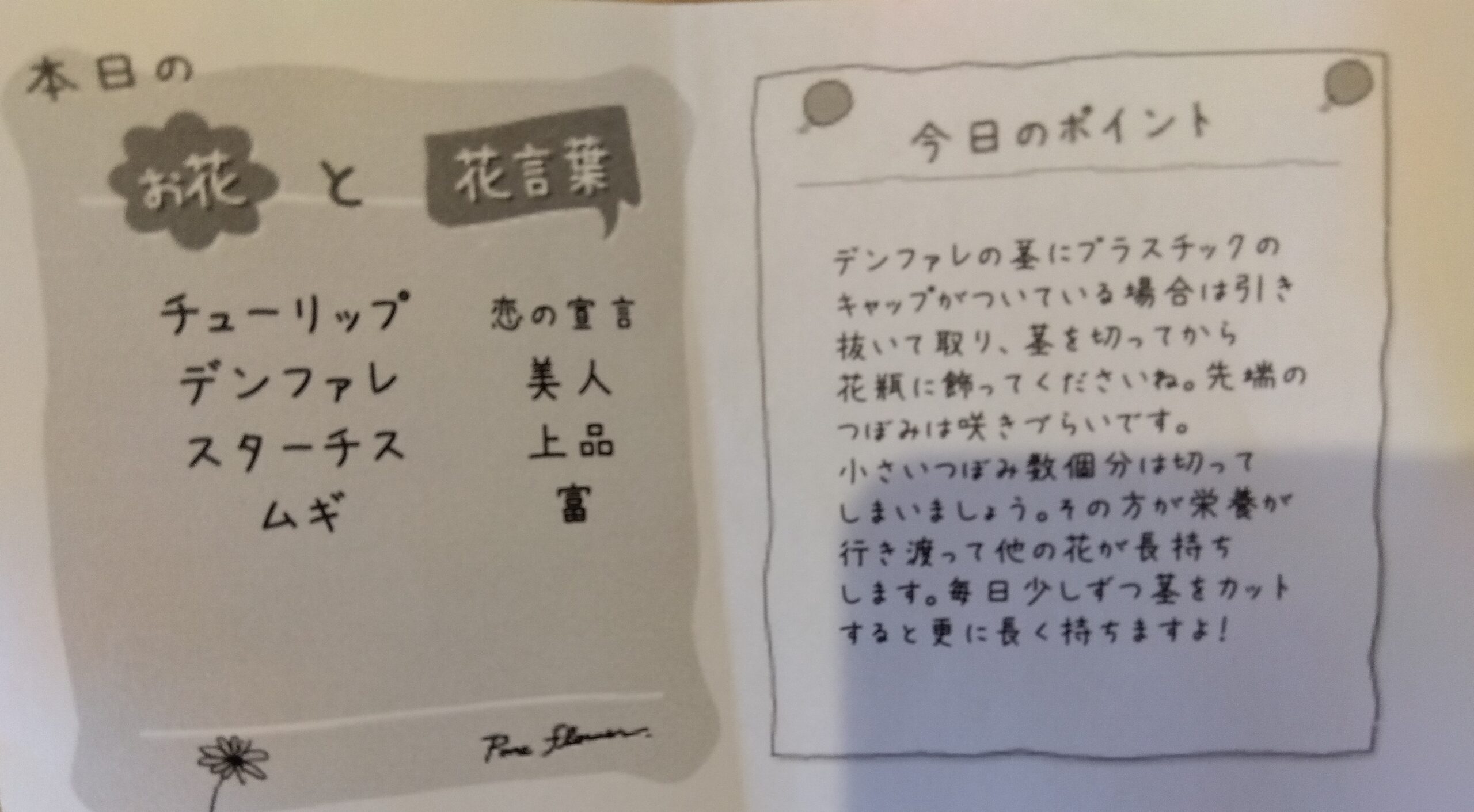 🌷春のお花を生けました🌷 🌷春のお花を生けました🌷