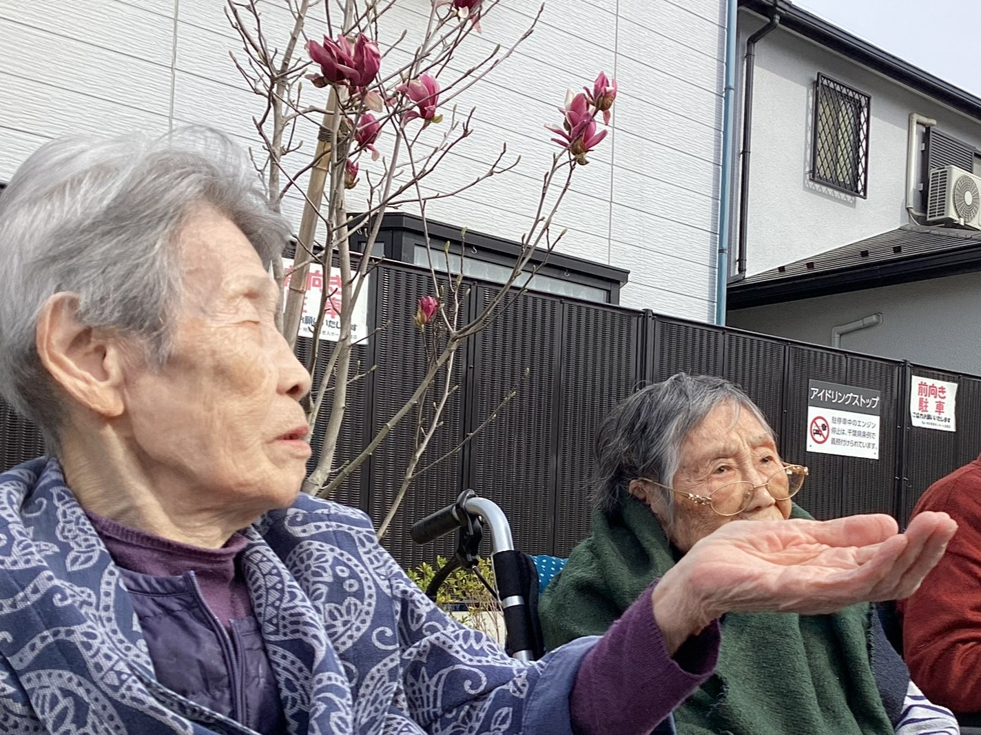 🌸今日のお散歩クラブ🌸