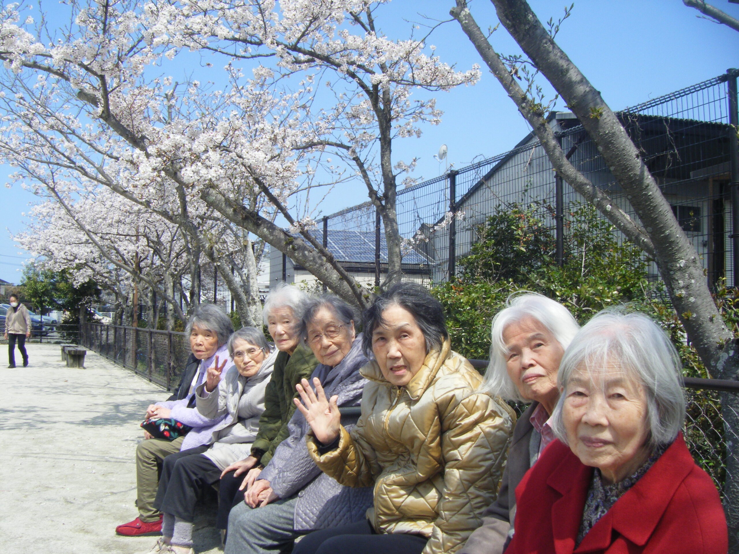🌸お花見🌸 🌸お花見🌸