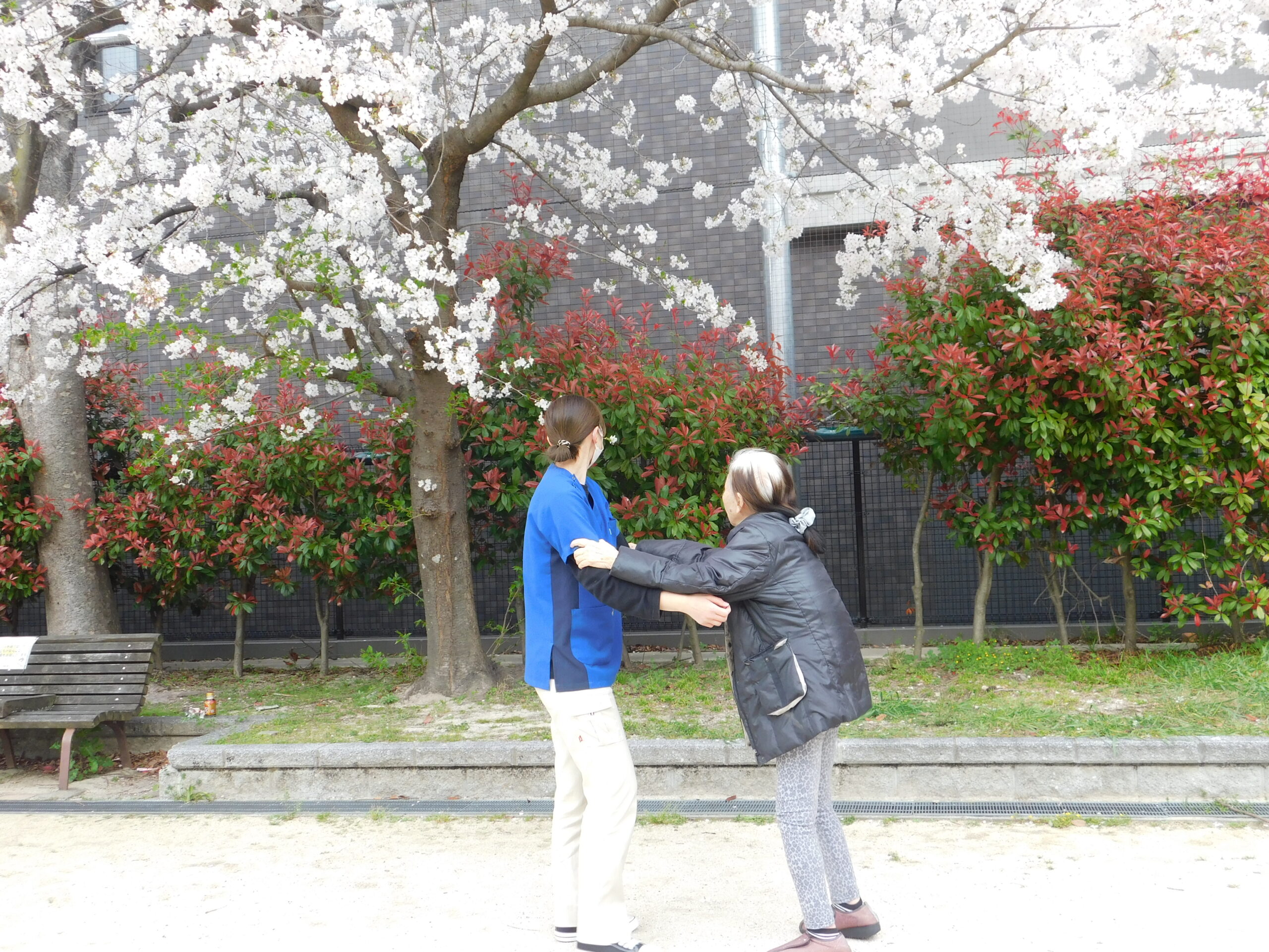 桜の下で、、、 桜の下で、、、