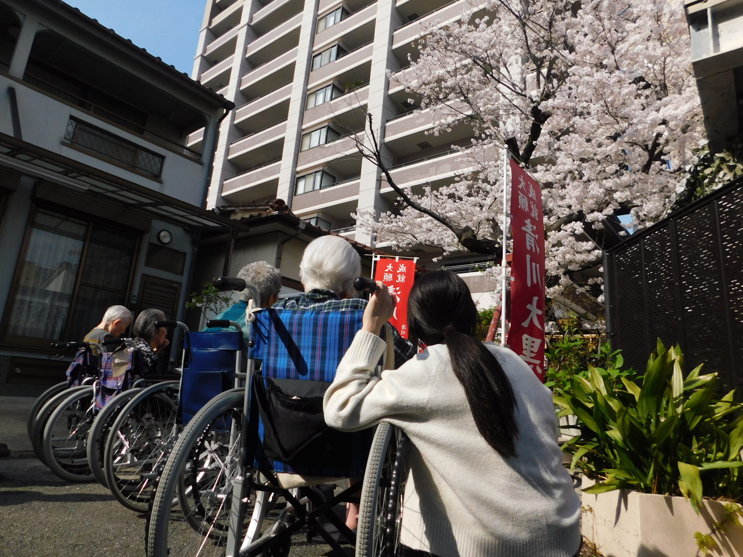 ヒュルリ～ラ♪🌸