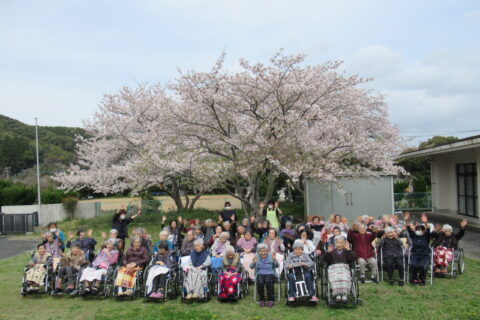 お花見 撮影会❀ お花見 撮影会❀