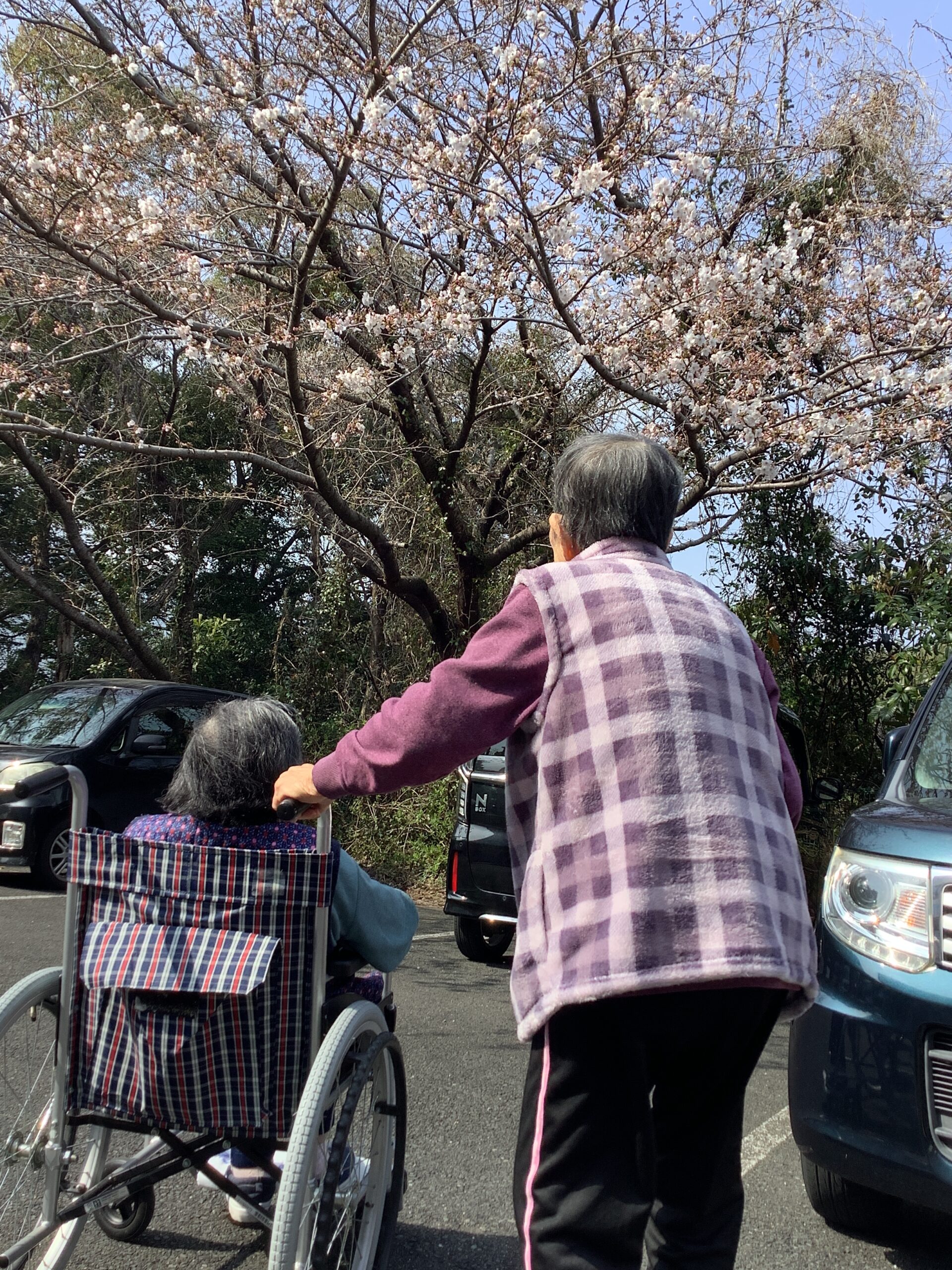 4月行事🌸🎤♬