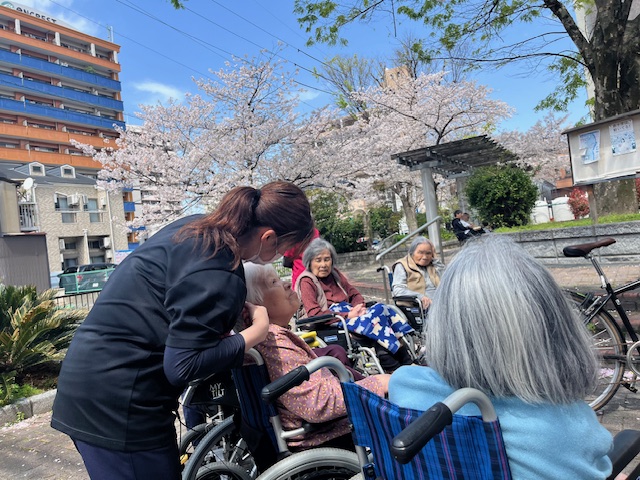 満開🌸 満開🌸