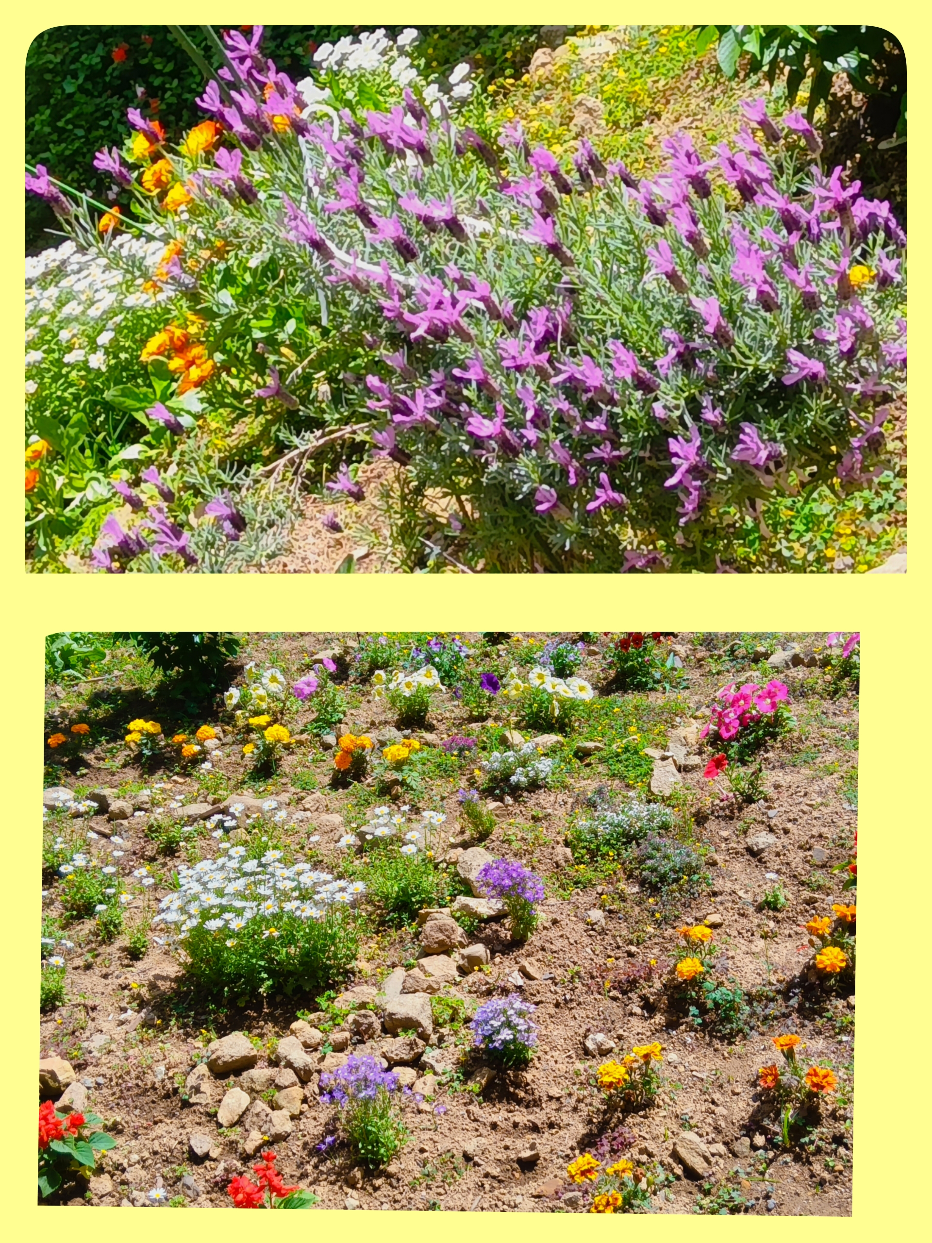 ４月の行事と中庭の花壇