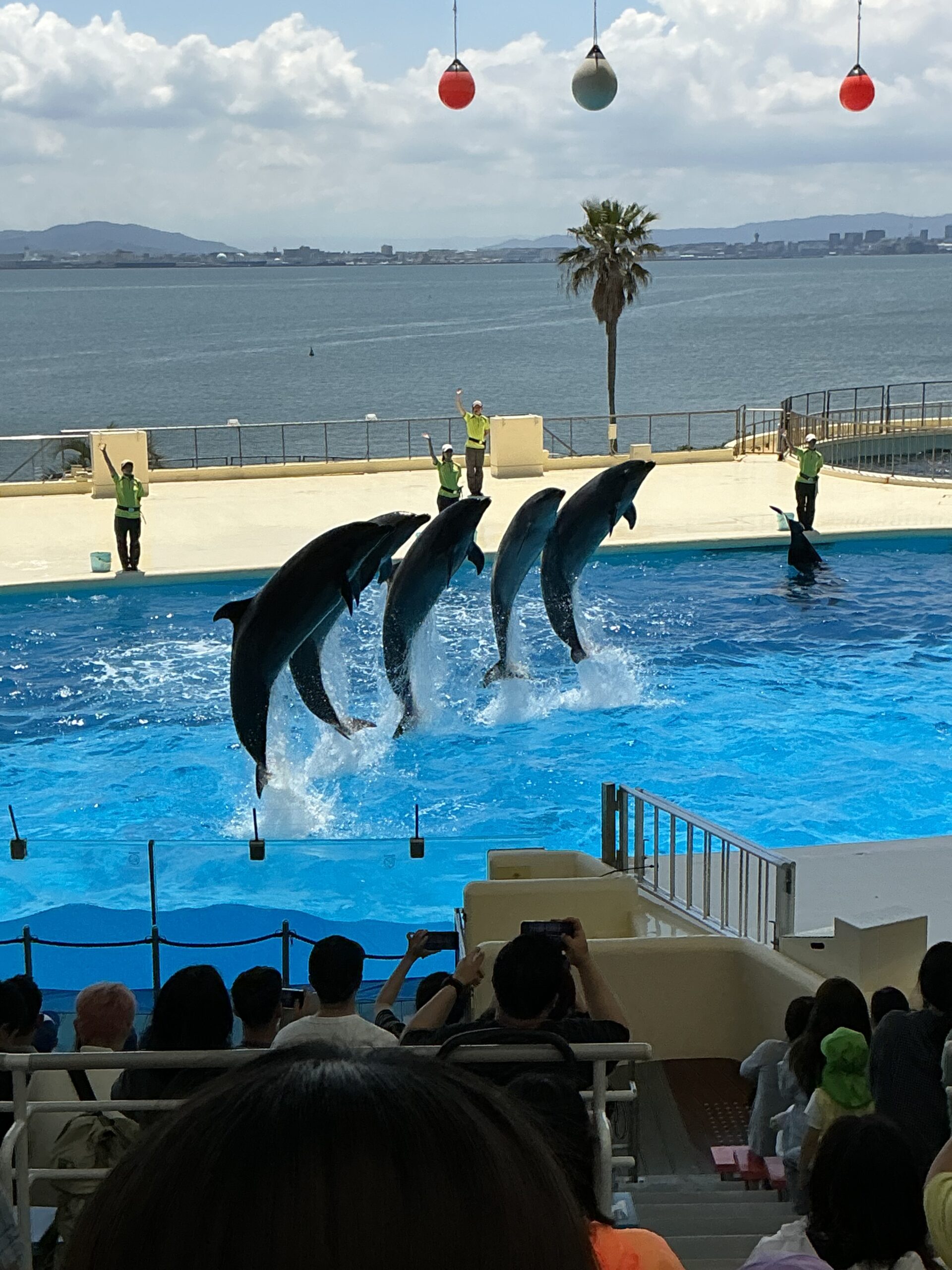 ✨歓迎遠足に行きました🐬（４歳児・５歳児）