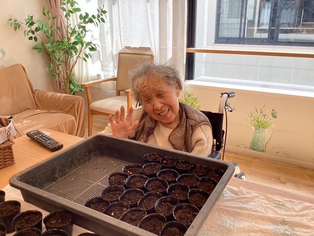 🌻夏に向けてヒマワリの種まき♪ 🌻夏に向けてヒマワリの種まき♪