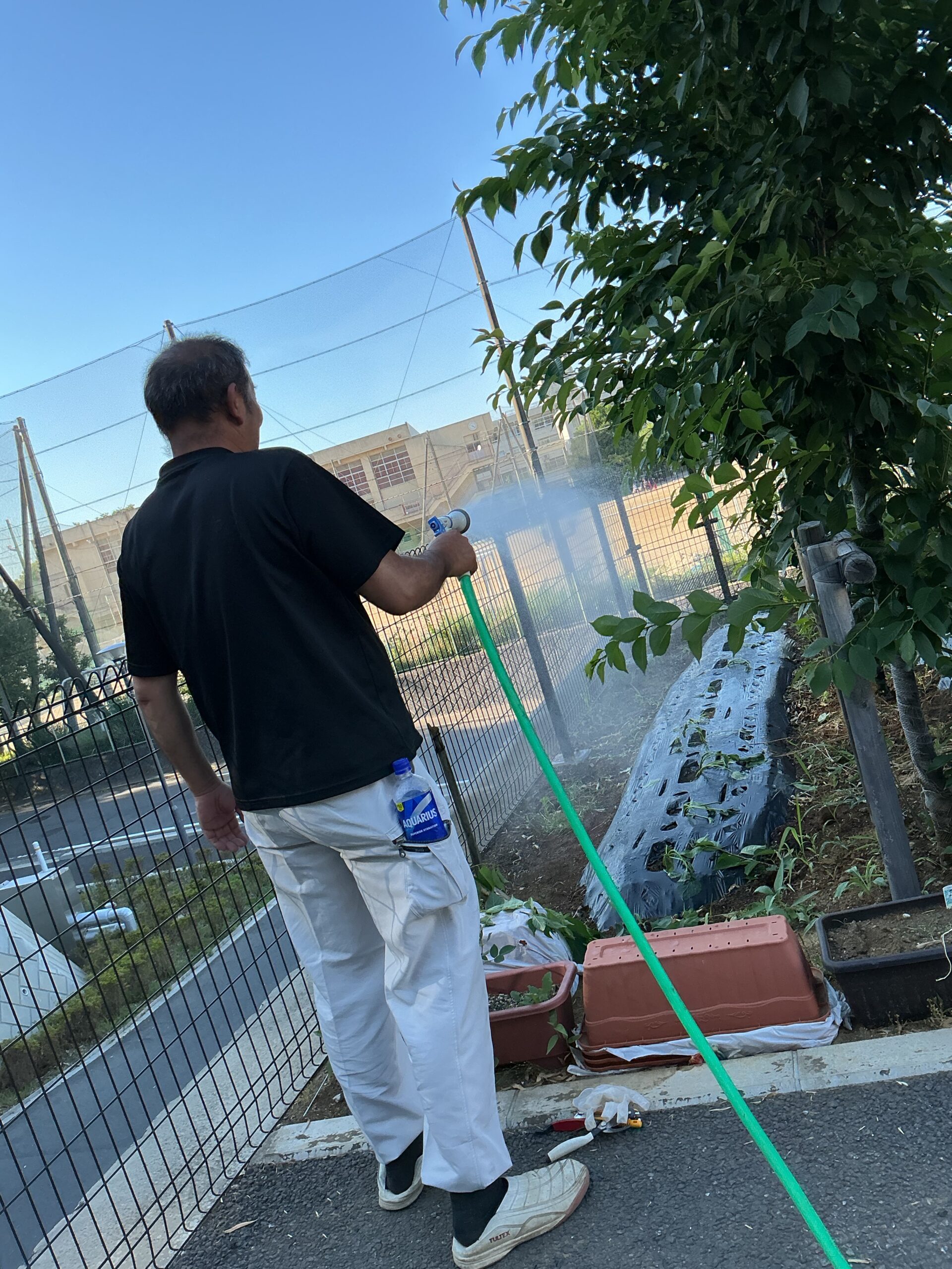プレシャス畑🥬