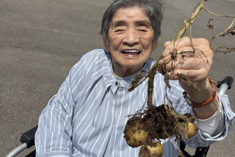明心苑　～🌱じゃがいも収穫🥔～