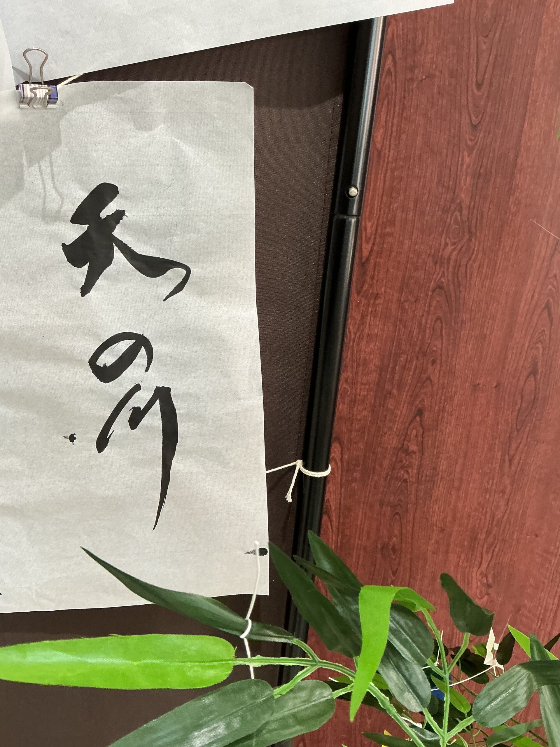 天の川🌌
