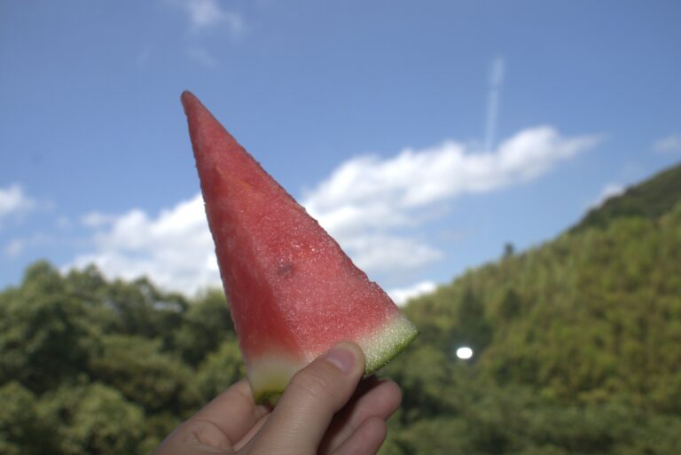 つしま彩光園　7月　夏祭り🍉