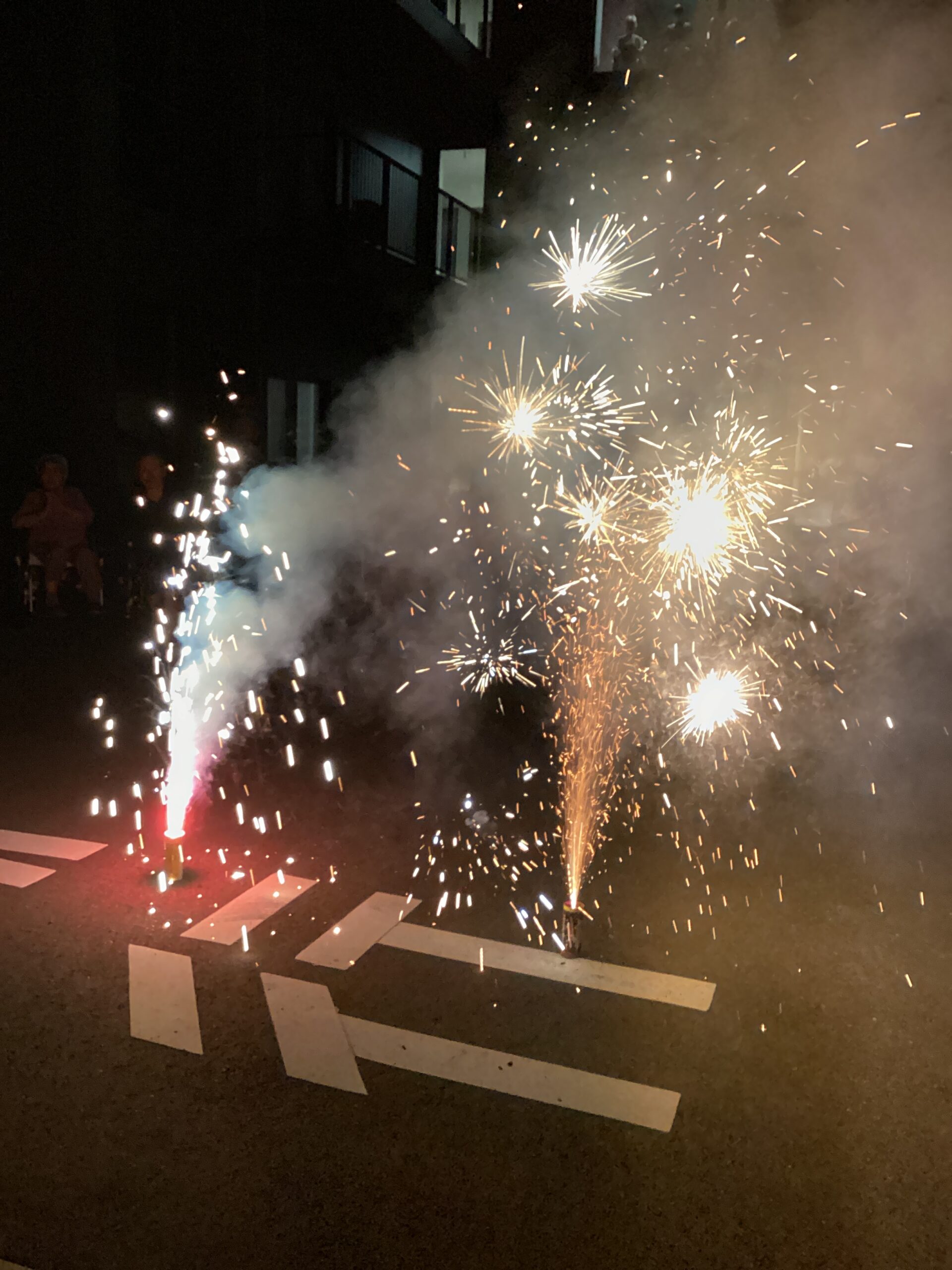🎆花火鑑賞会🎆
