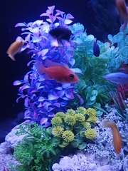 水族館現る🐟⁈
