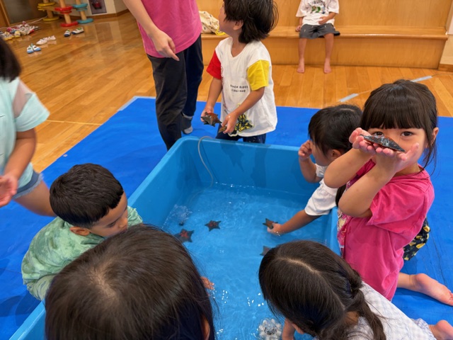 移動水族館がきました🦀